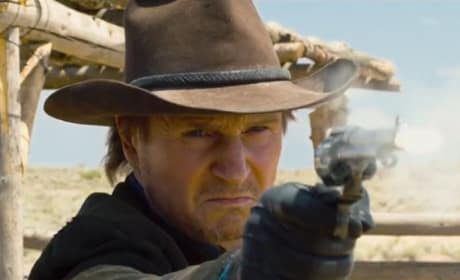 Ted 2: Liam Neeson Joins The Cast!