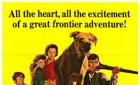 Old Yeller Poster