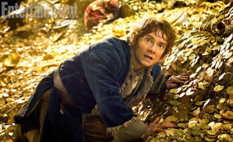 Bilbo Baggins The Hobbit: The Desolation of Smaug