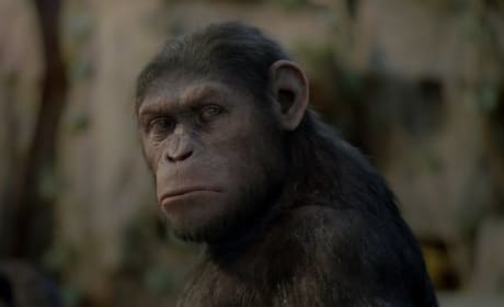 Andy Serkis is Caesar