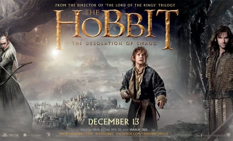 The Hobbit: The Desolation of Smaug Character Banner