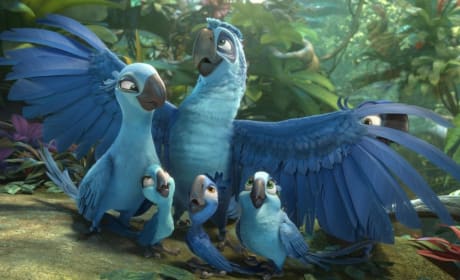 Rio 2 Jewel & Blu