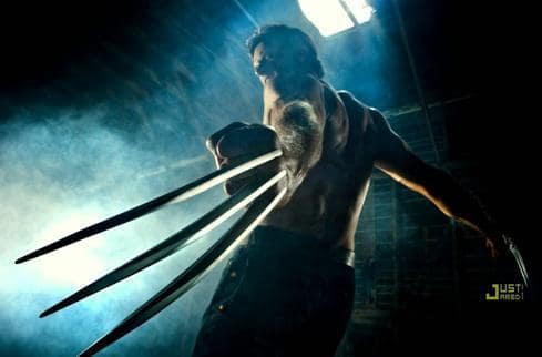 A Wolverine Photo