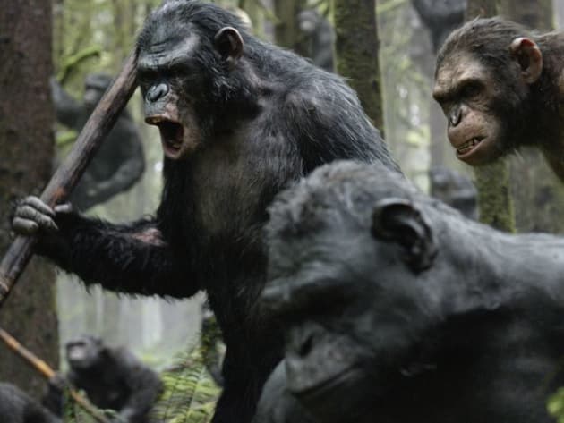 Dawn of the Planet of the Apes: Apes in Action