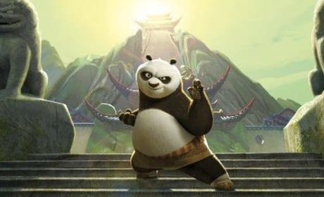 The Kung Fu Panda