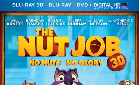 The Nut Job DVD