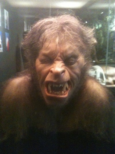An American Werewolf in London Mask
