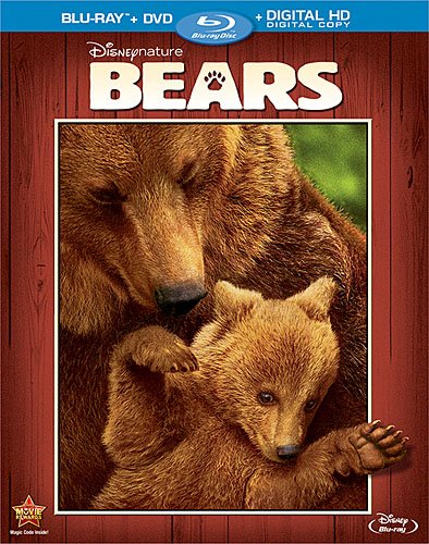 Bears